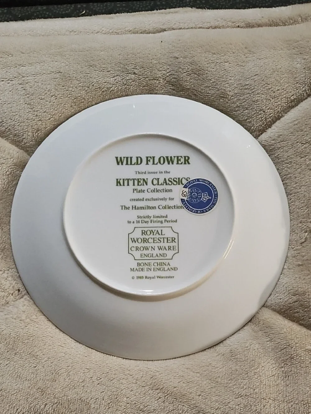 1985 Royal Worcester Green and Cream Kitten Decorative Plate